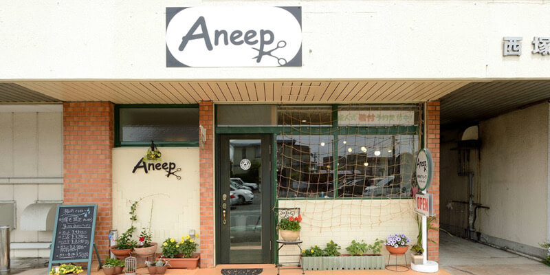 Aneep800×400外観